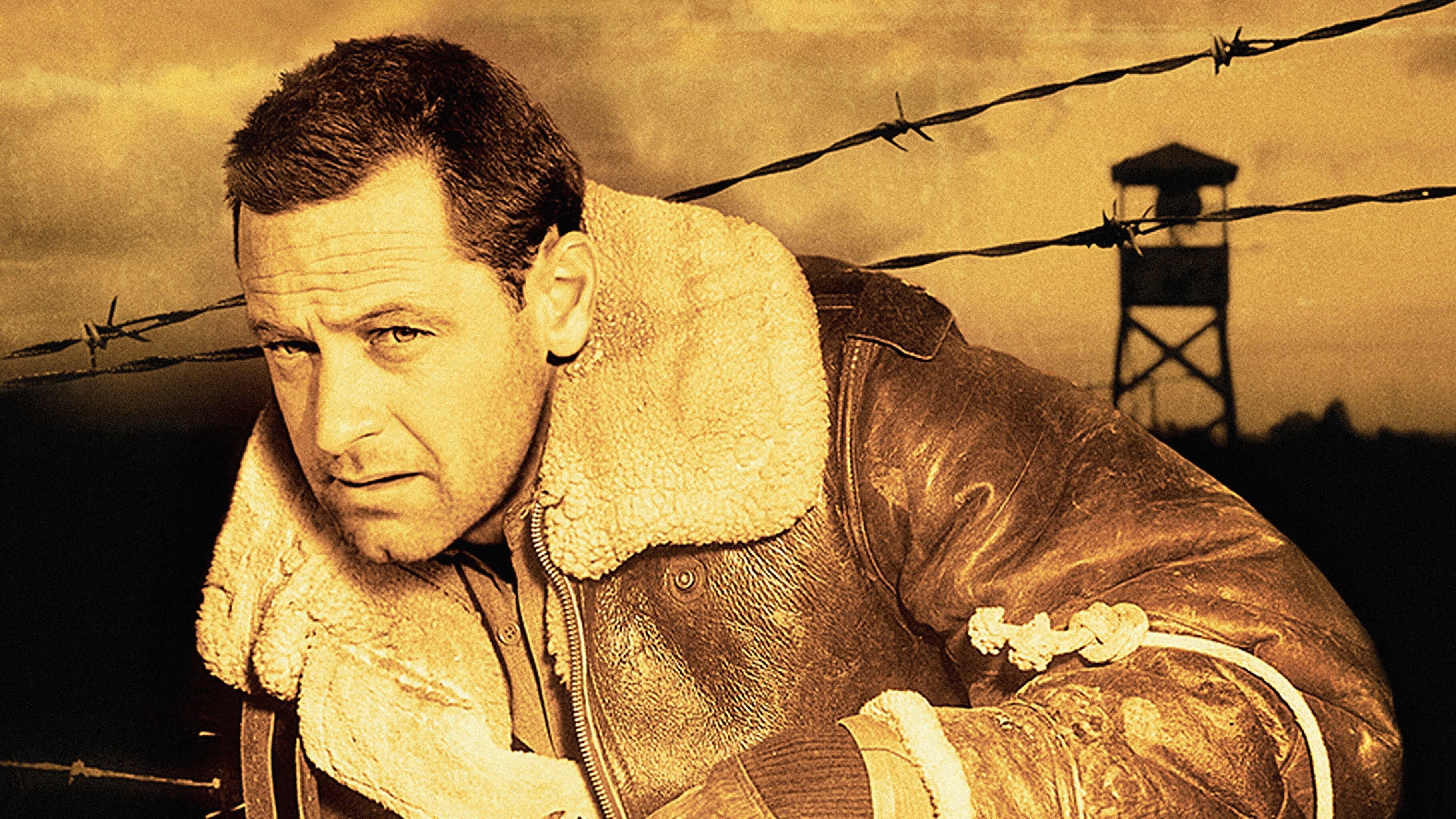 Stalag 17 - immagine