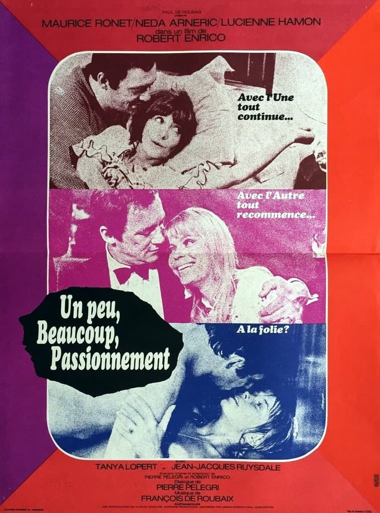 Poster di Un peu, beaucoup, passionnément...
