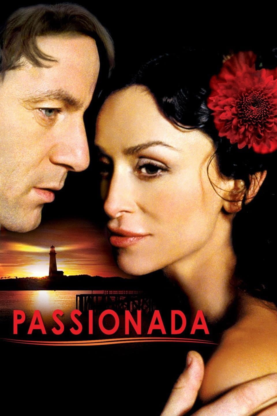 Poster di Passionada