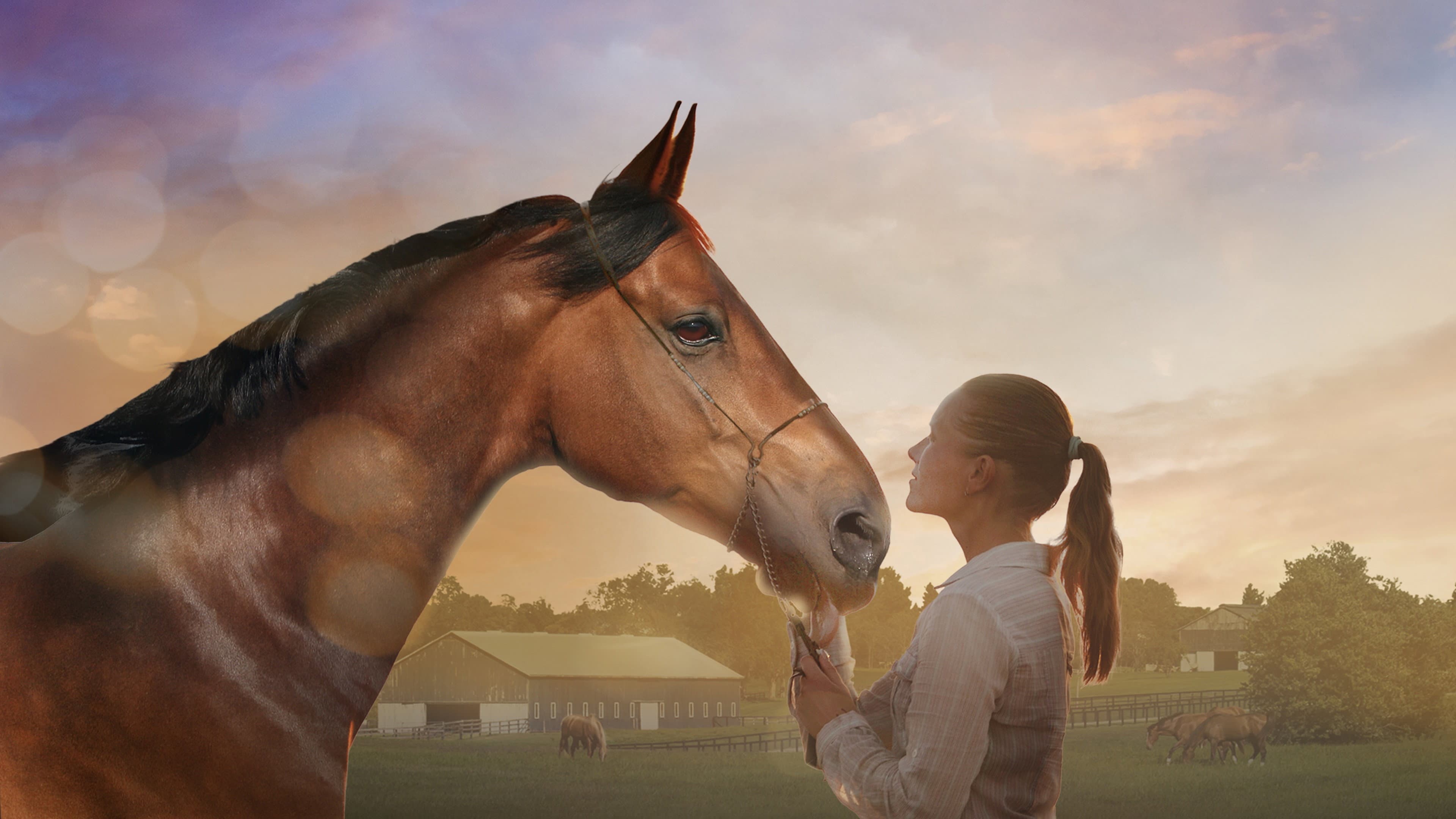 A Horse Tale - immagine