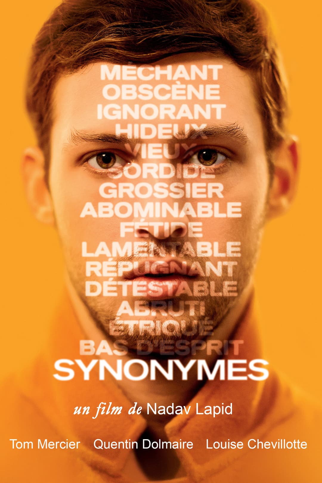 Poster di Synonymes