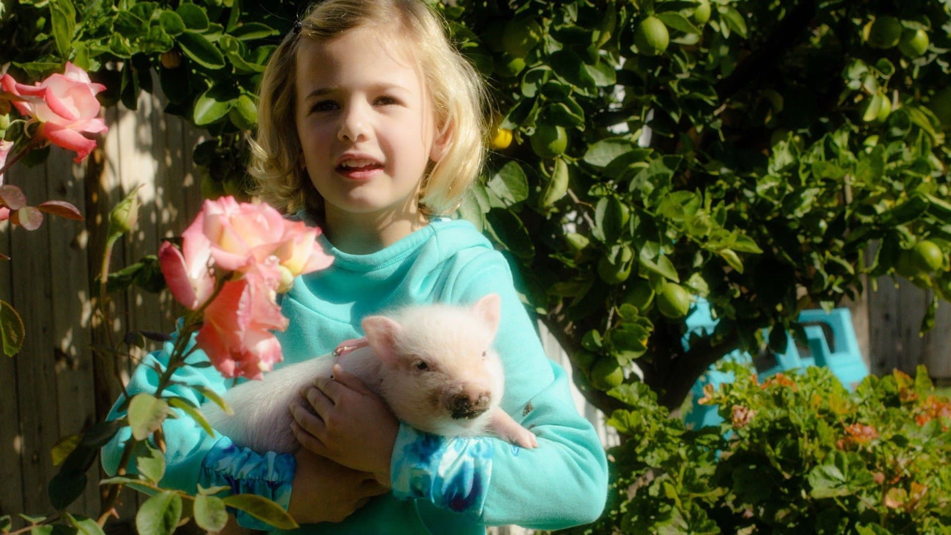 Arlo: The Burping Pig - immagine
