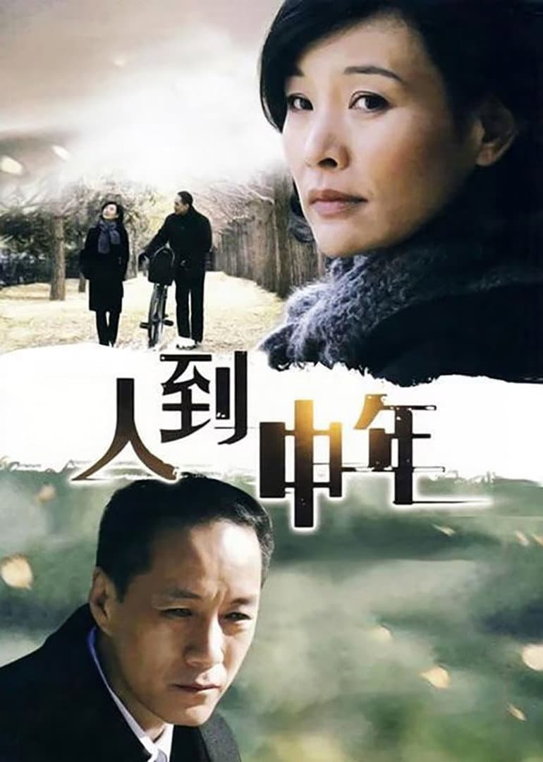 Poster di 人到中年