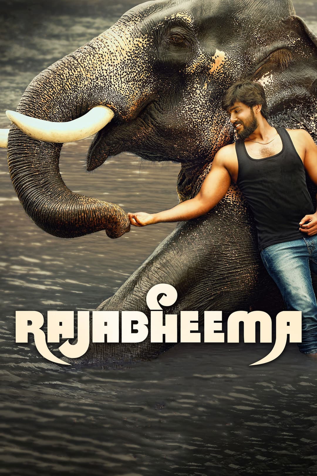 Poster di ராஜபீமா