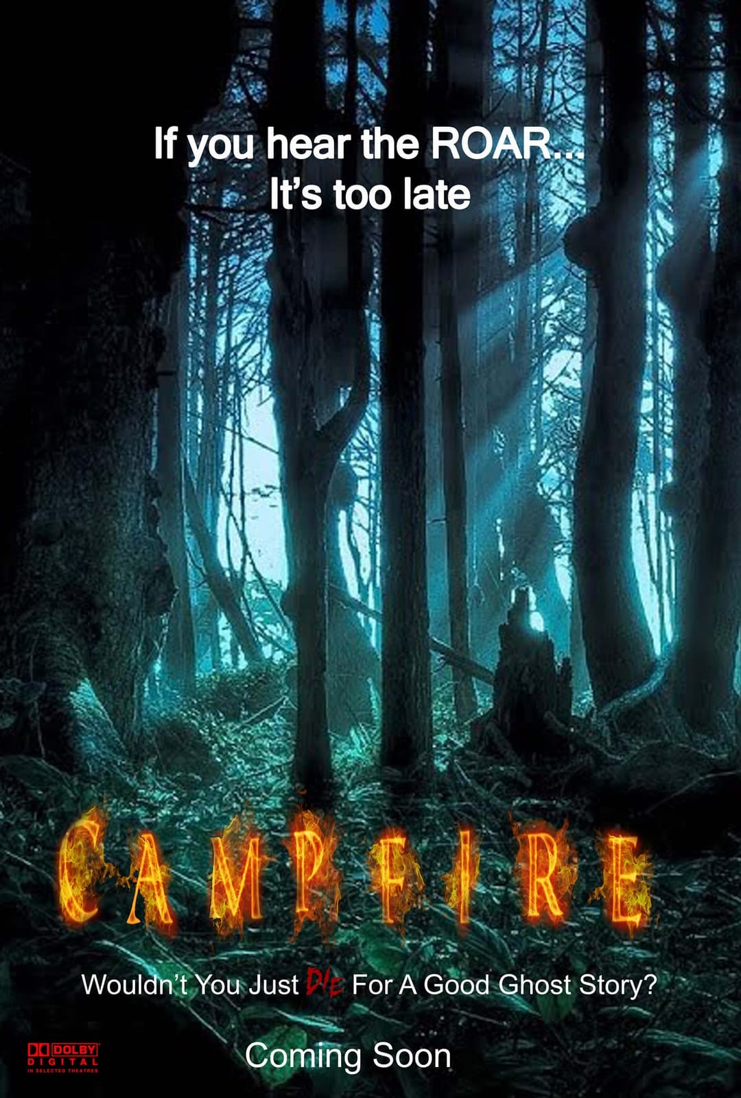 Poster di Campfire