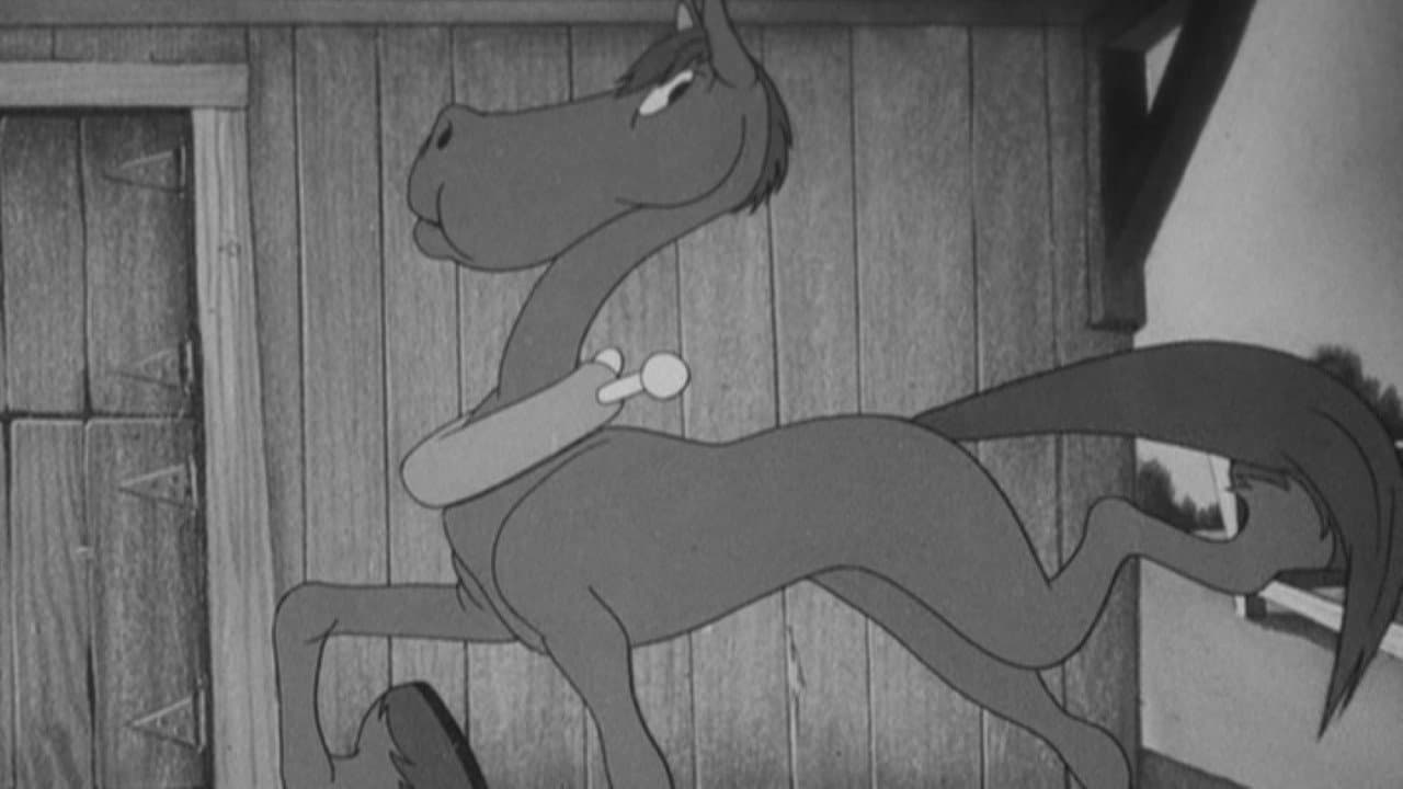 Un cavallo vincente - immagine
