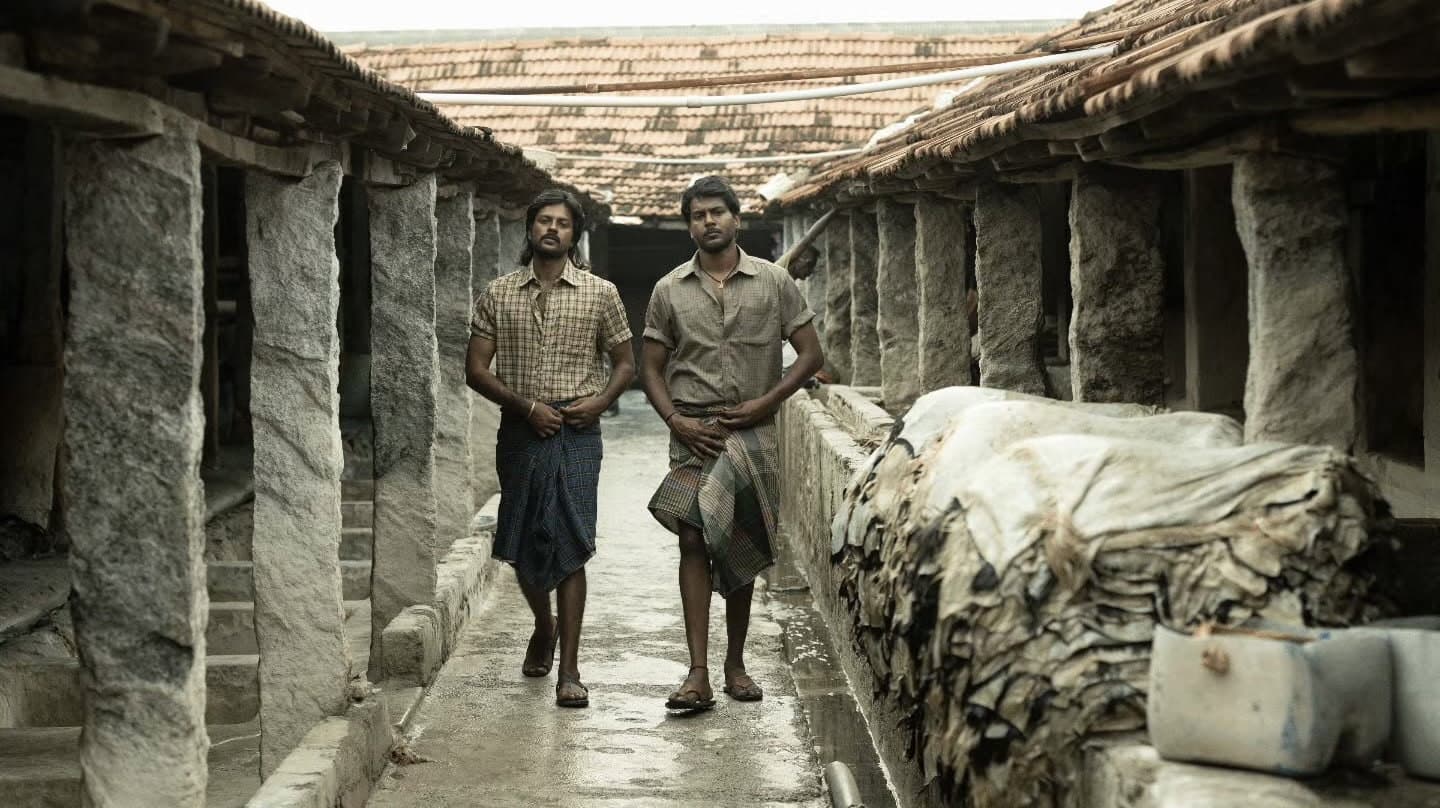 டோரதி - immagine