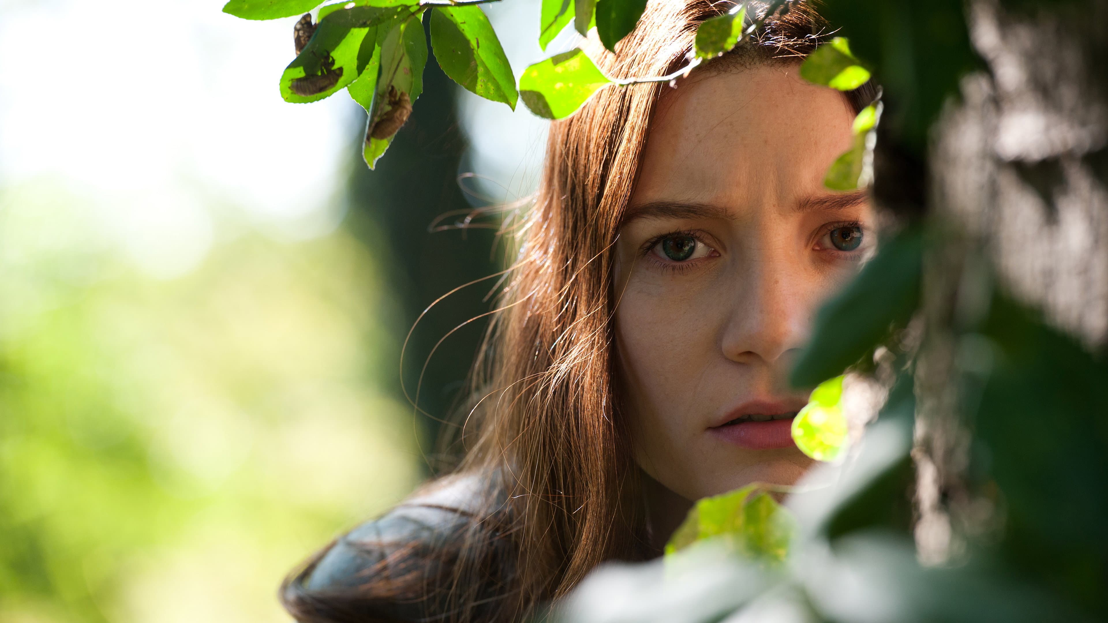 Stoker - immagine