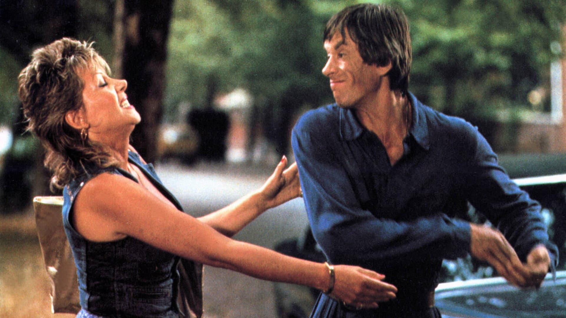 I quattro dell'oca selvaggia II - immagine