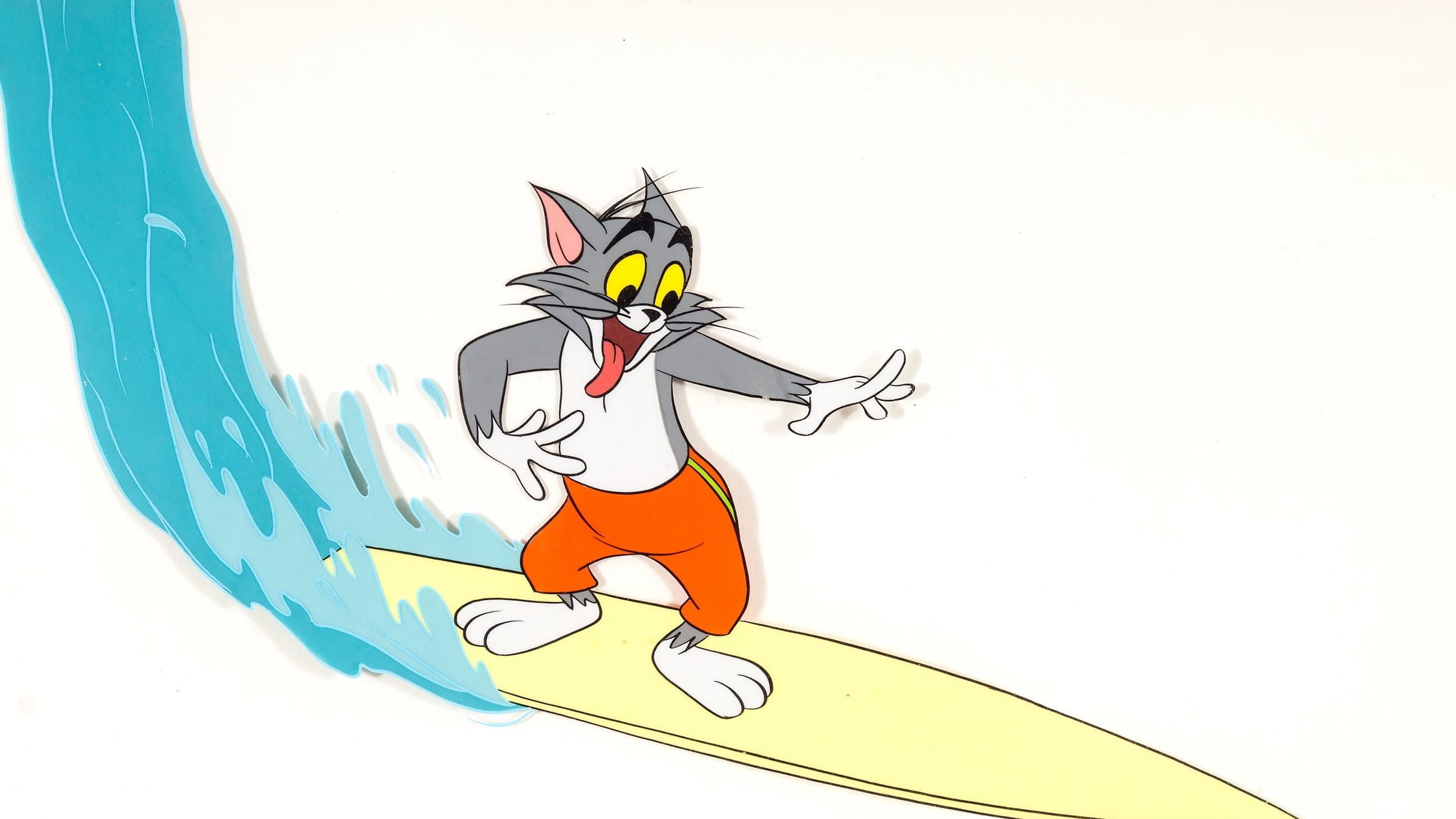 Il surf di Tom - immagine