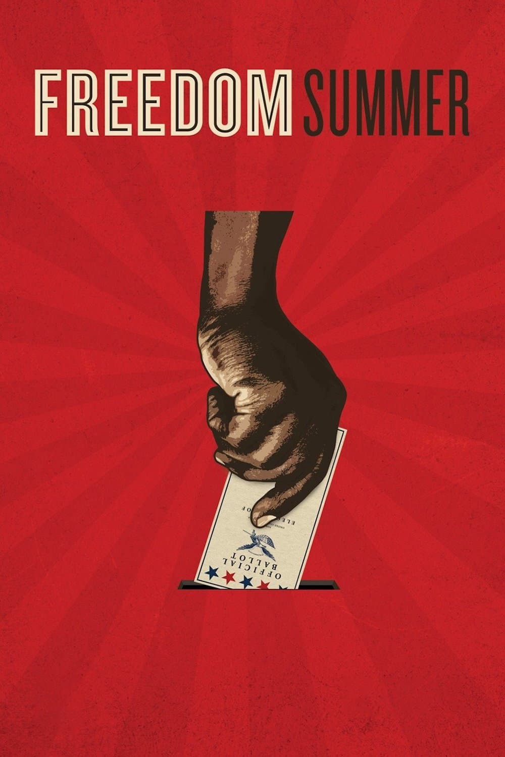 Poster di Freedom Summer