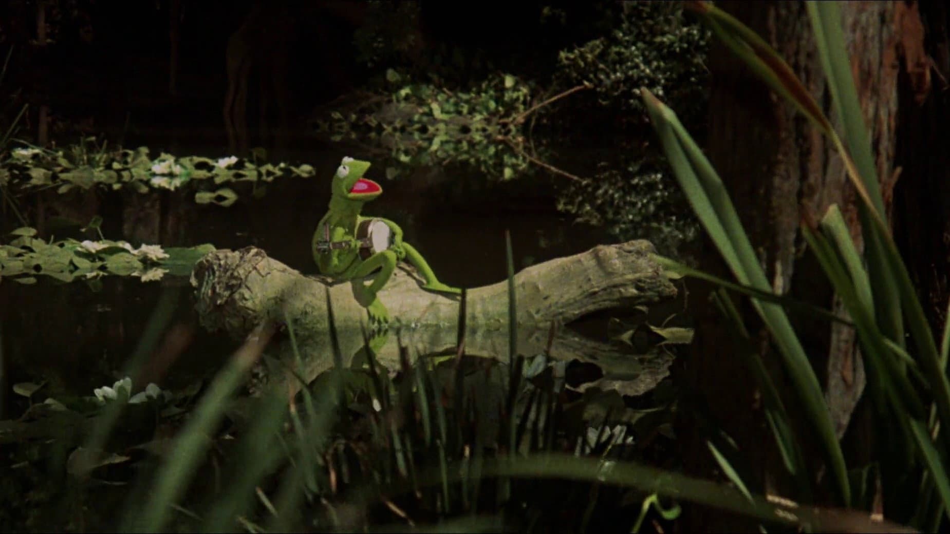 Ecco il film dei Muppet - immagine