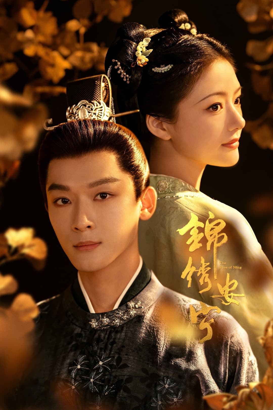 Poster di 锦绣安宁