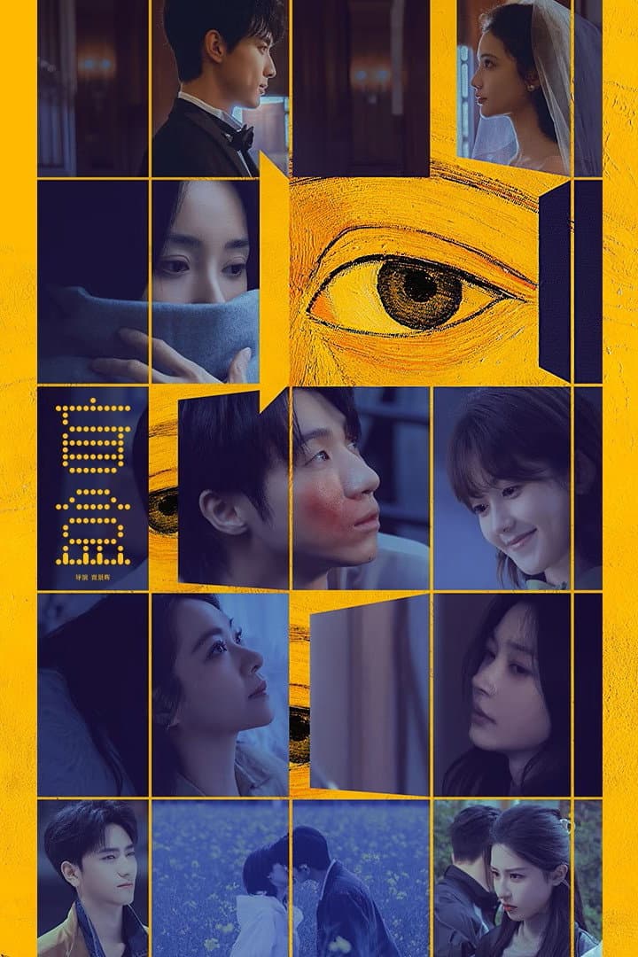 Poster di 盲盒