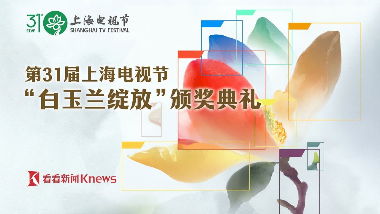 第31届上海电视节“白玉兰绽放”颁奖典礼 - immagine