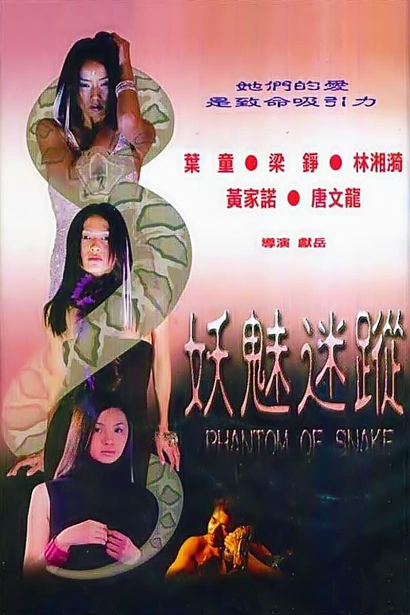 Poster di 妖魅迷蹤