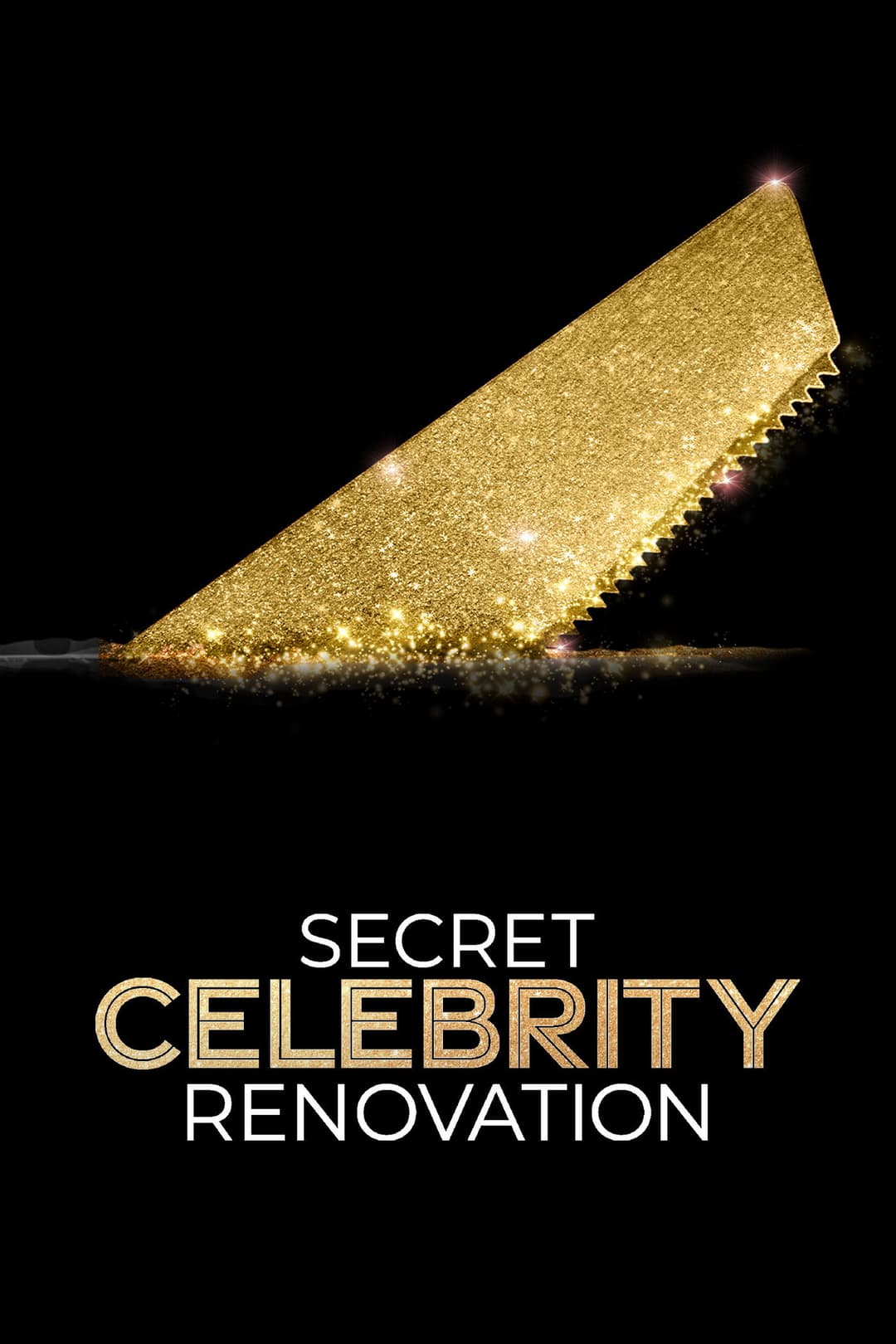 Poster di Secret Celebrity Renovation