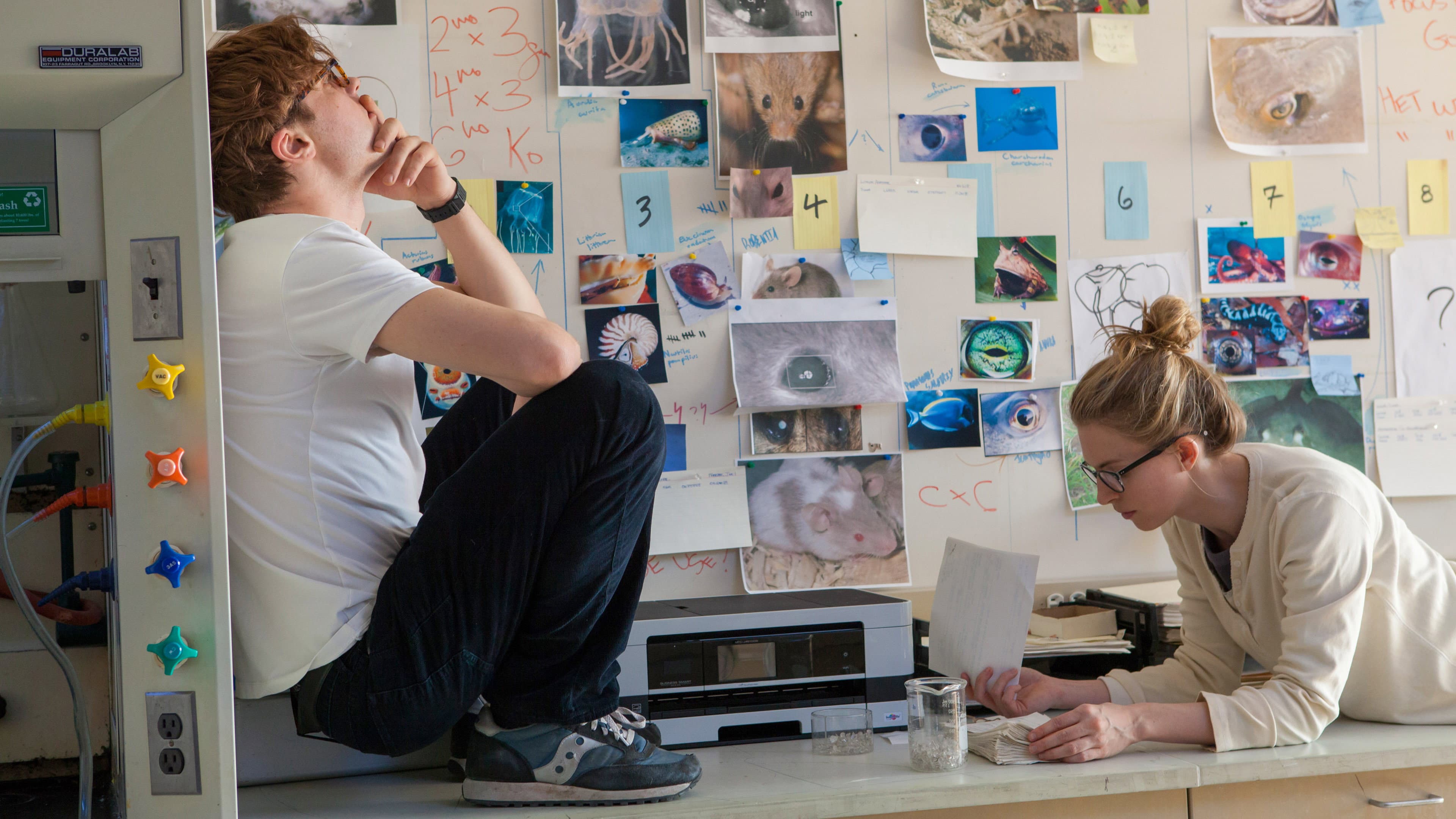 I Origins - immagine
