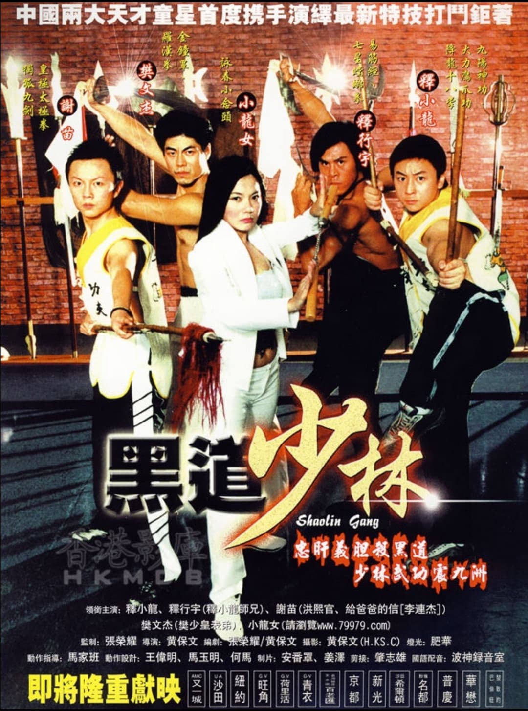 Poster di 黑道少林
