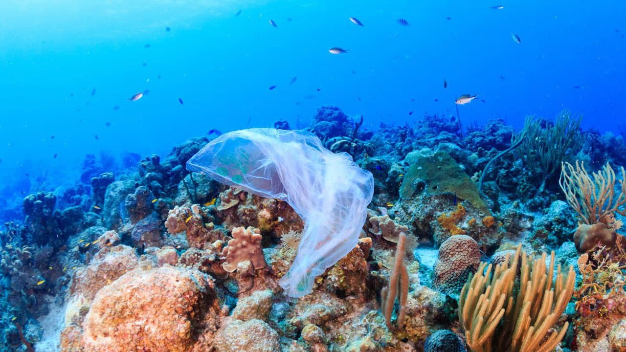 A Plastic Ocean - immagine