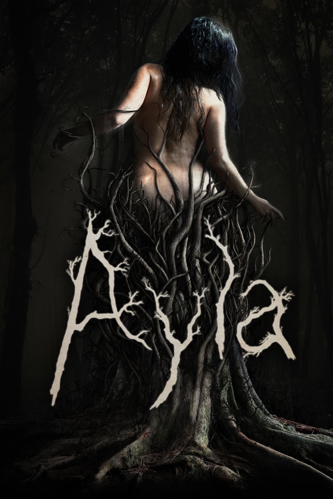 Poster di Ayla