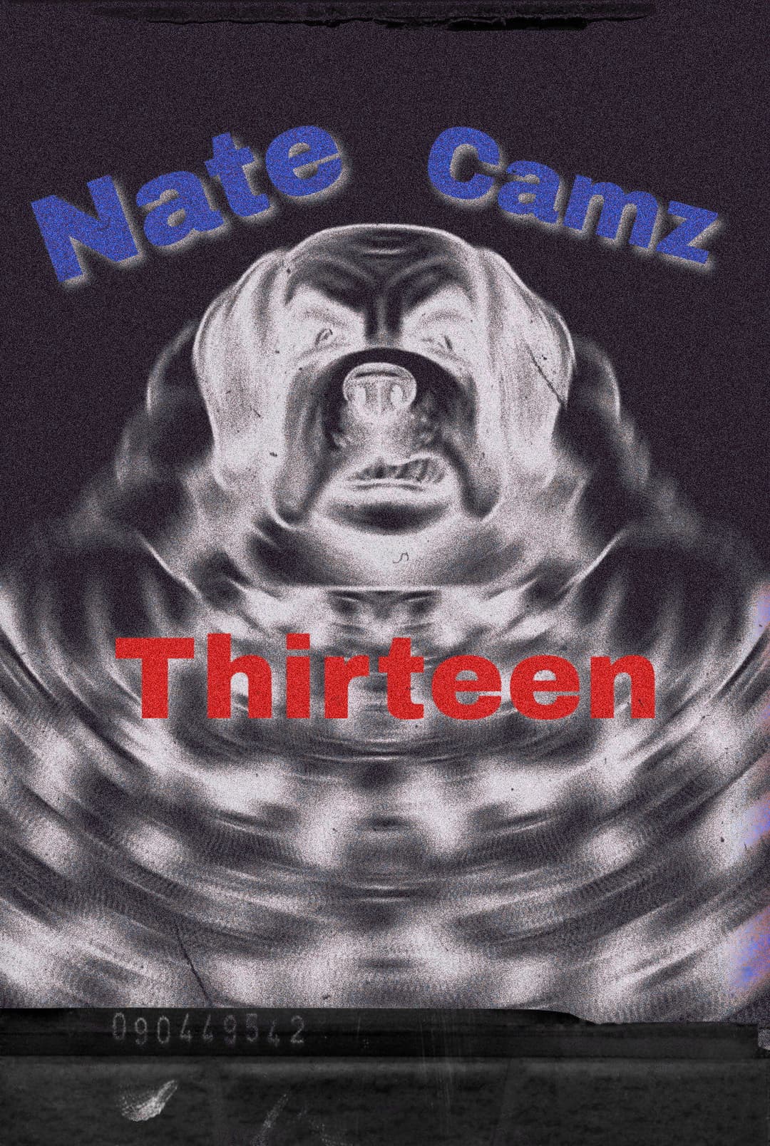 Poster di Natecamz 13