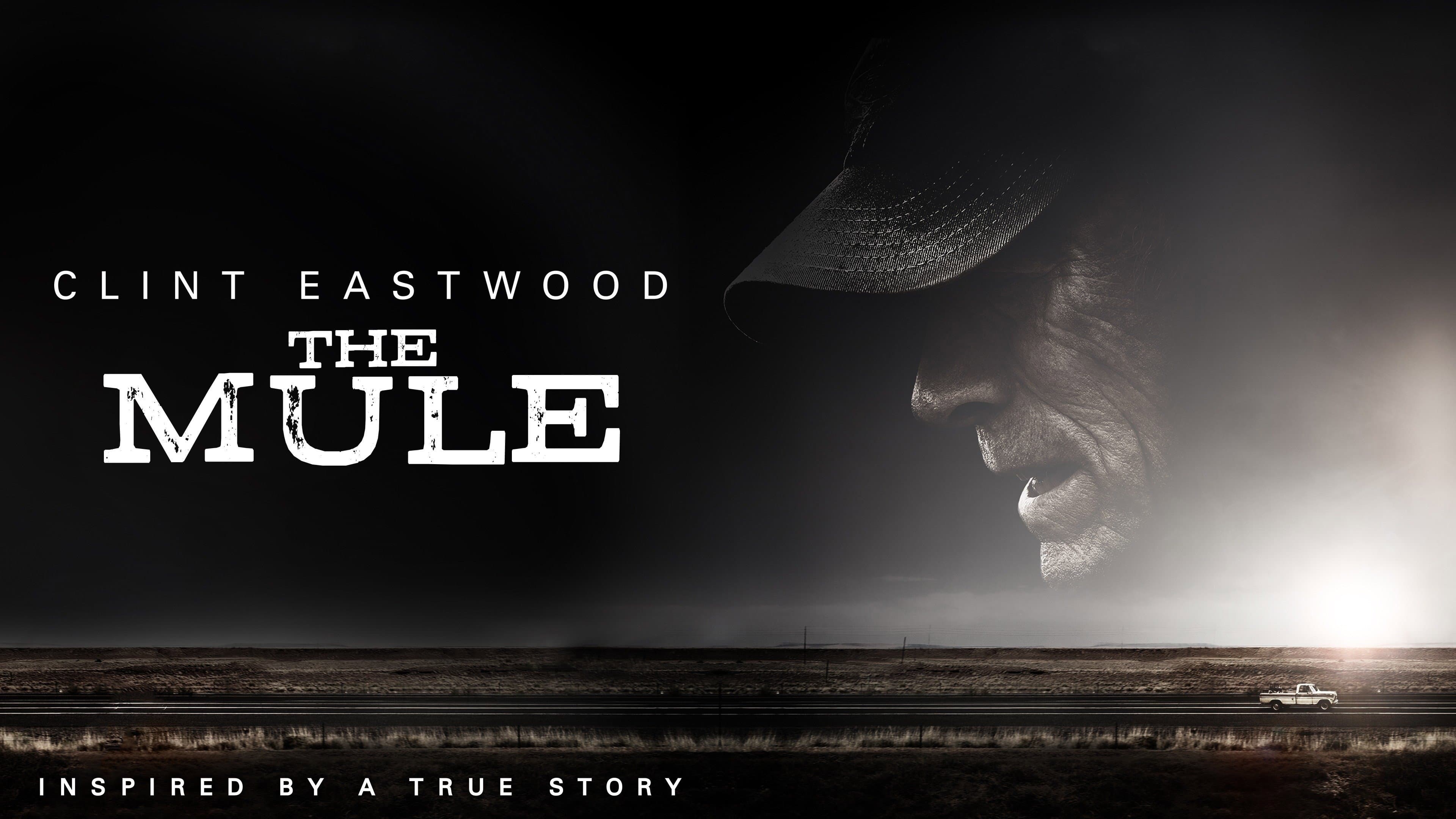 Il corriere - The Mule - immagine