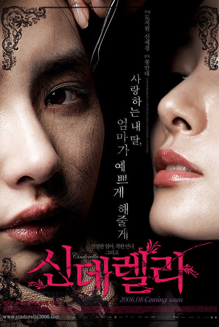 Poster di 신데렐라