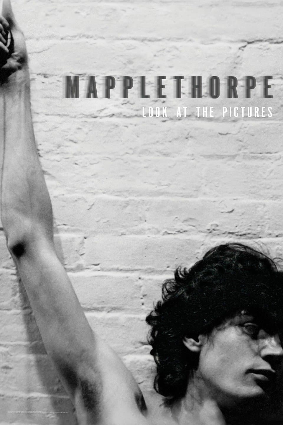 Poster di Mapplethorpe: Look at the Pictures
