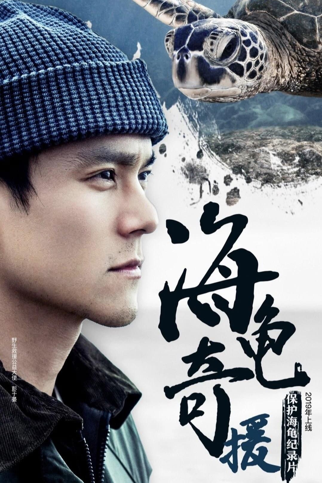 Poster di 海龟奇援
