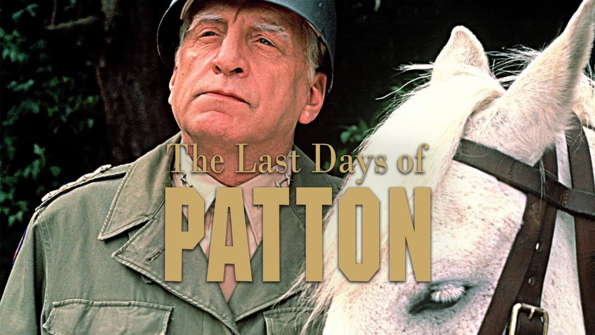 The Last Days of Patton - immagine