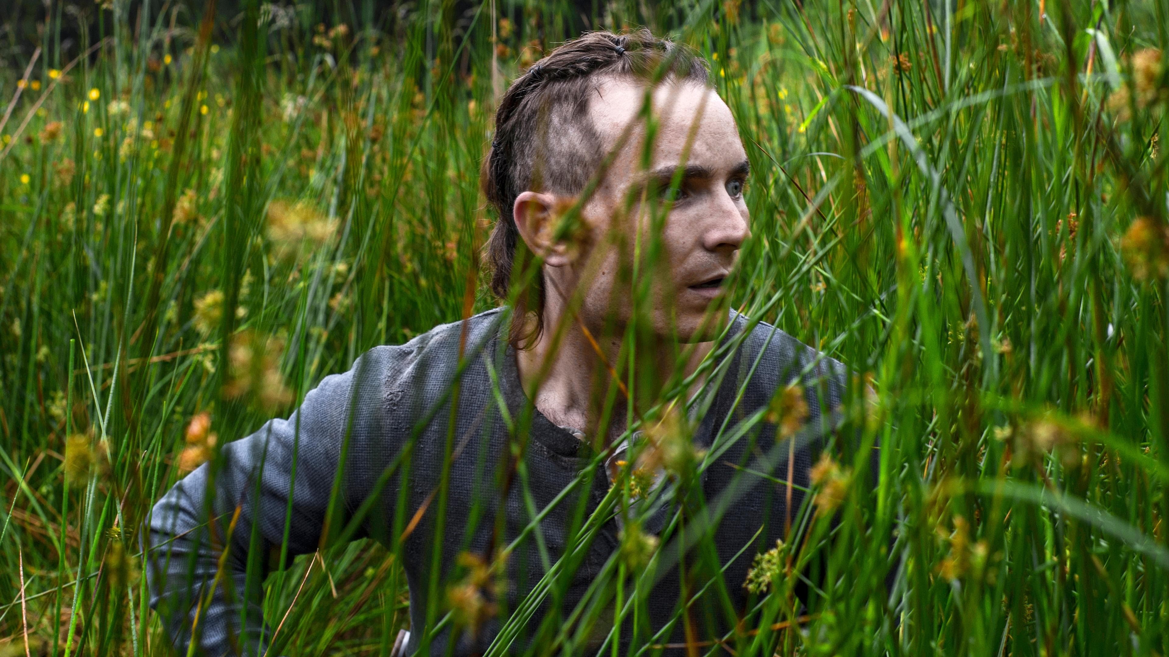 The Survivalist - immagine
