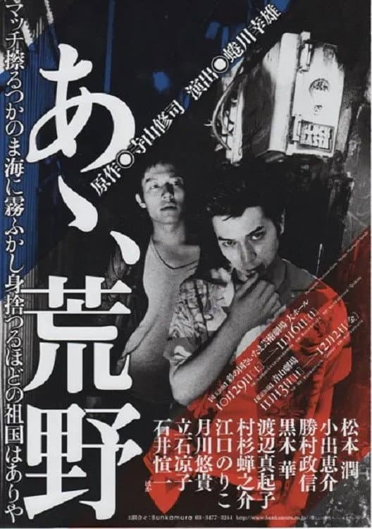 Poster di あゝ、荒野