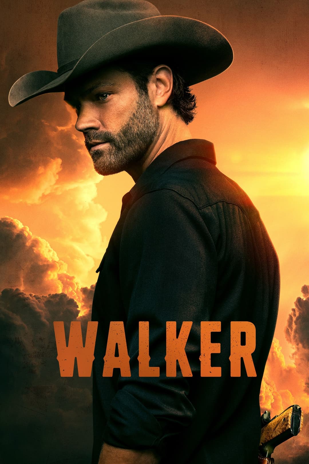 Poster di Walker