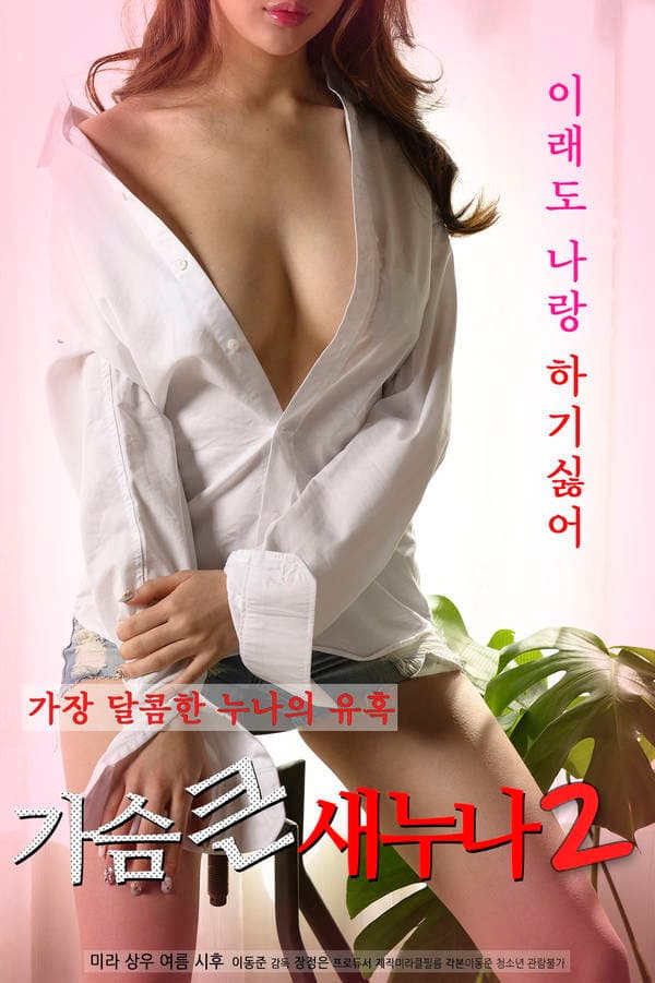 Poster di 가슴 큰 새 누나 2