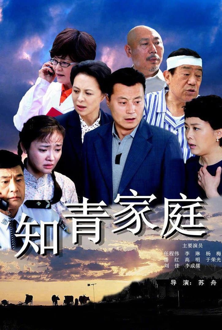 Poster di 知青家庭