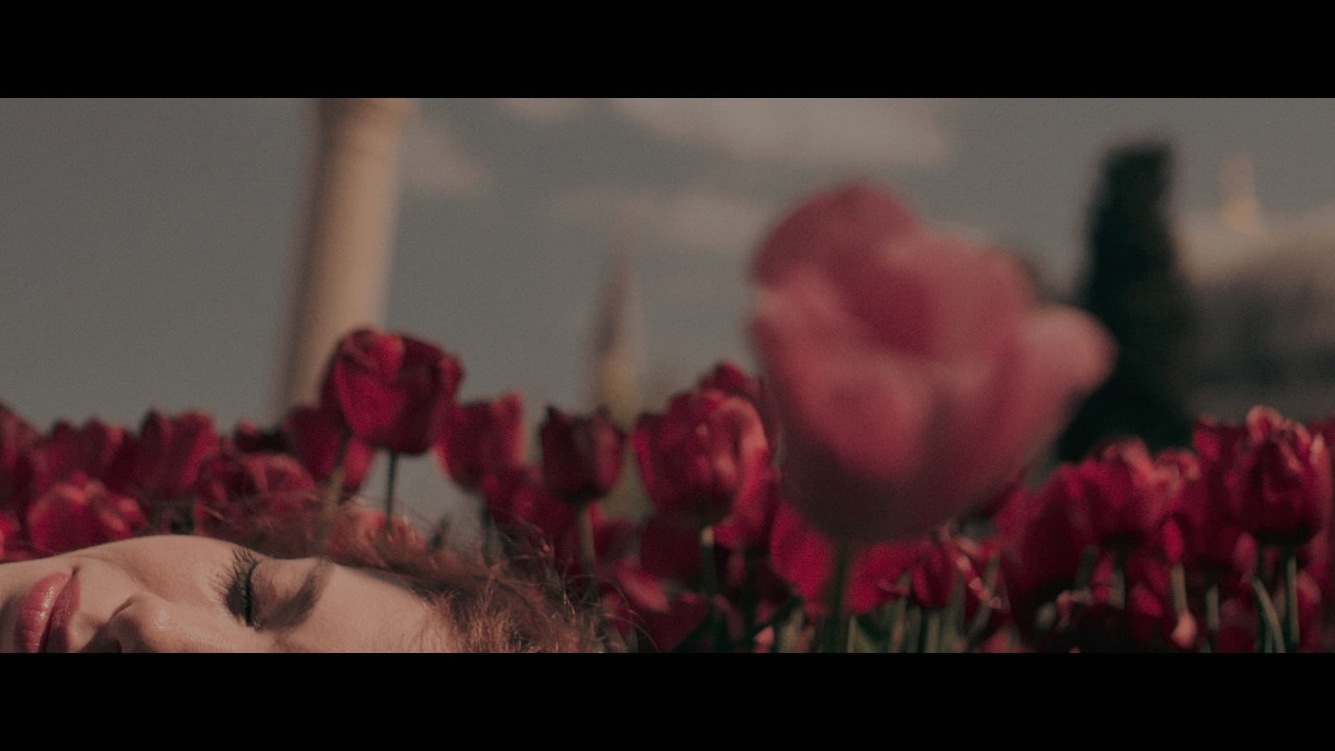 Birlikte Öleceğiz - immagine