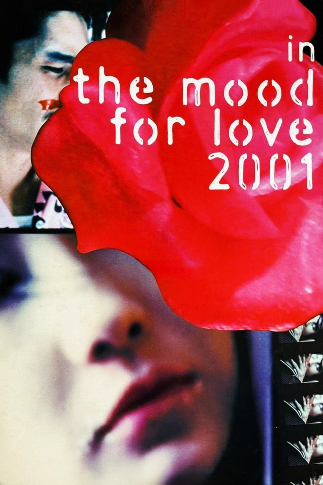 Poster di 花樣年華2001