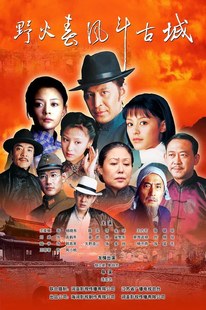 Poster di 野火春风斗古城