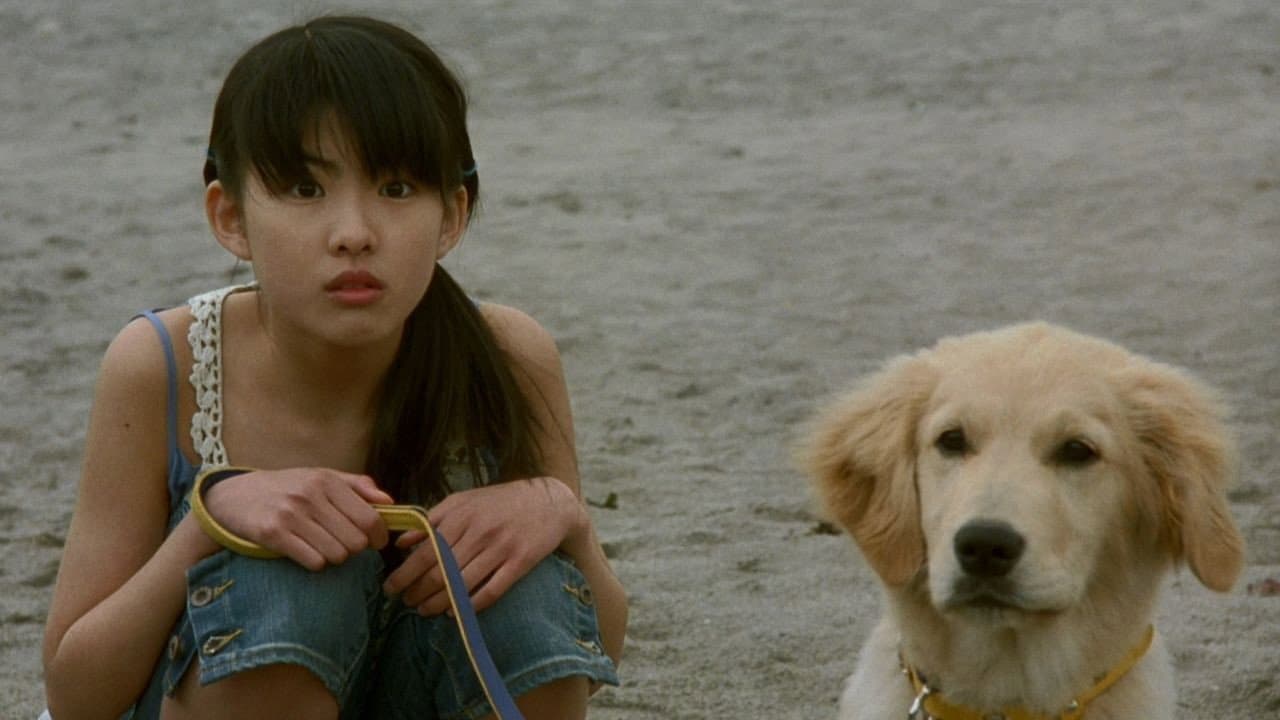 10 Promises to My Dog - immagine