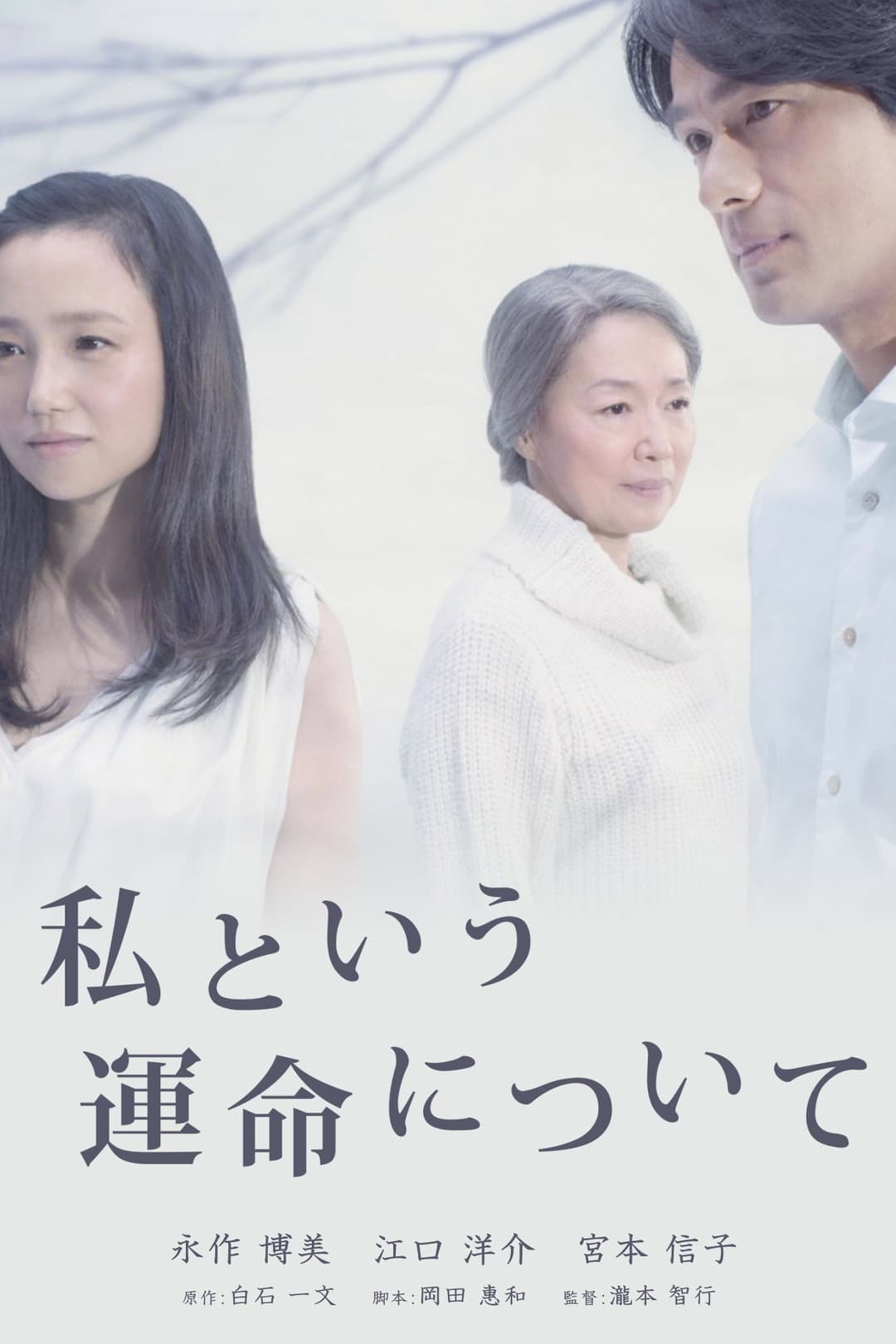 Poster di 私という運命について