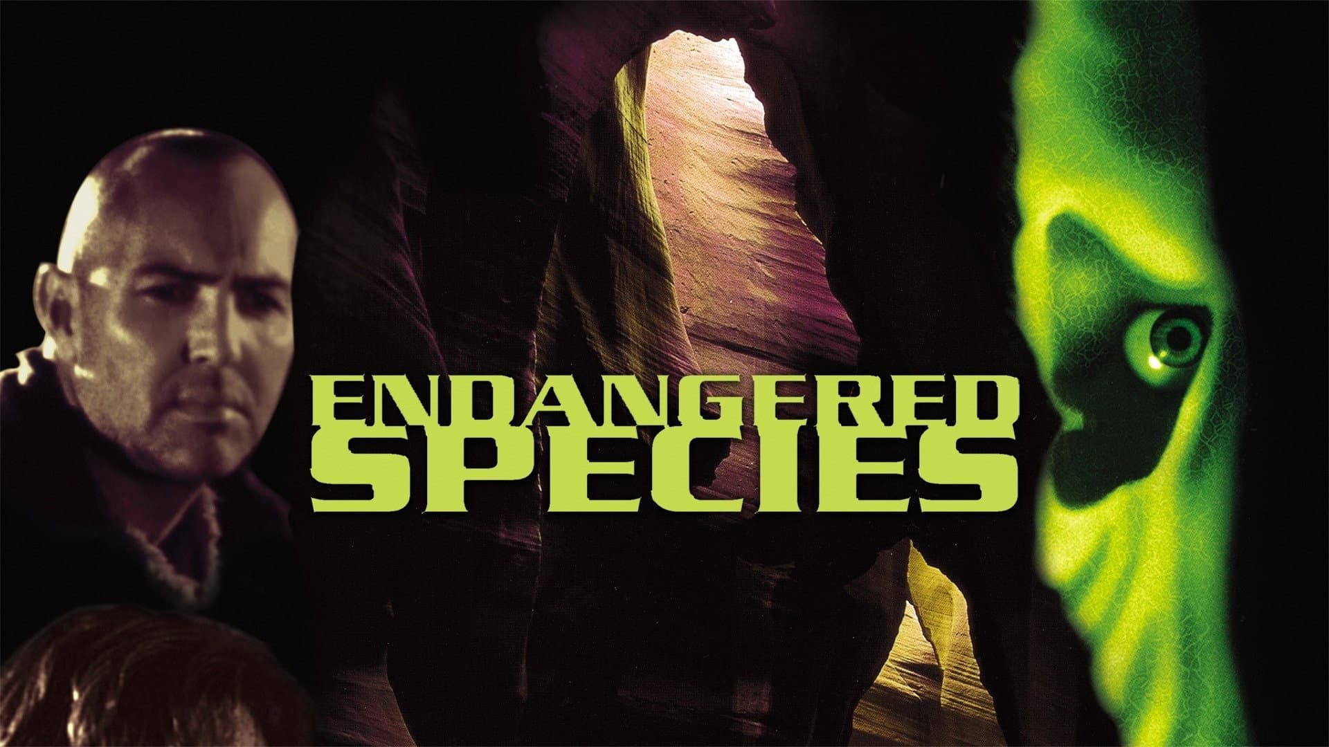Endangered Species - immagine