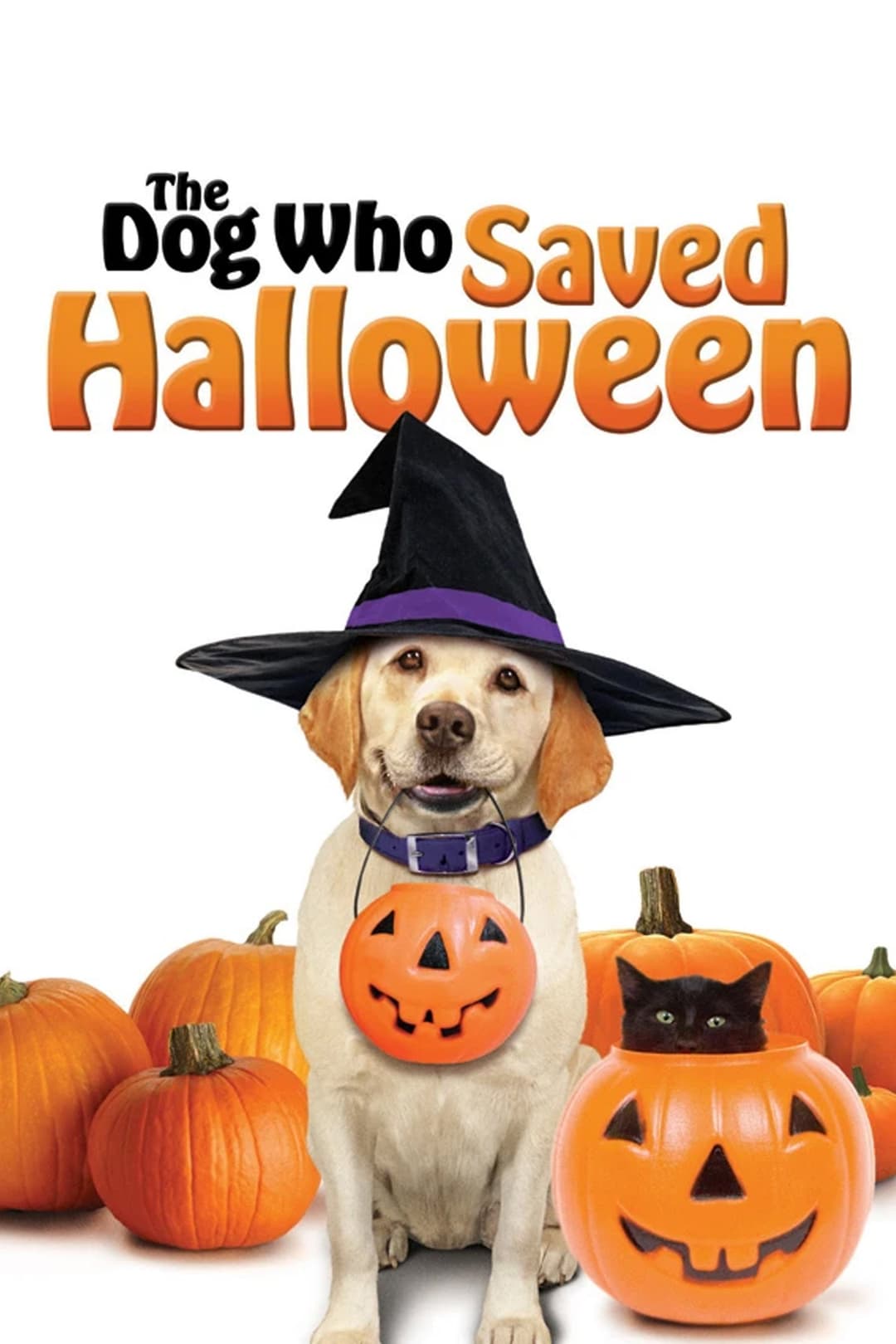 Poster di Zeus alla conquista di Halloween
