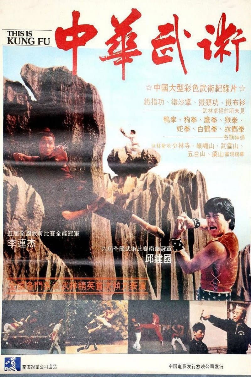 Poster di Zhong hua wu shu