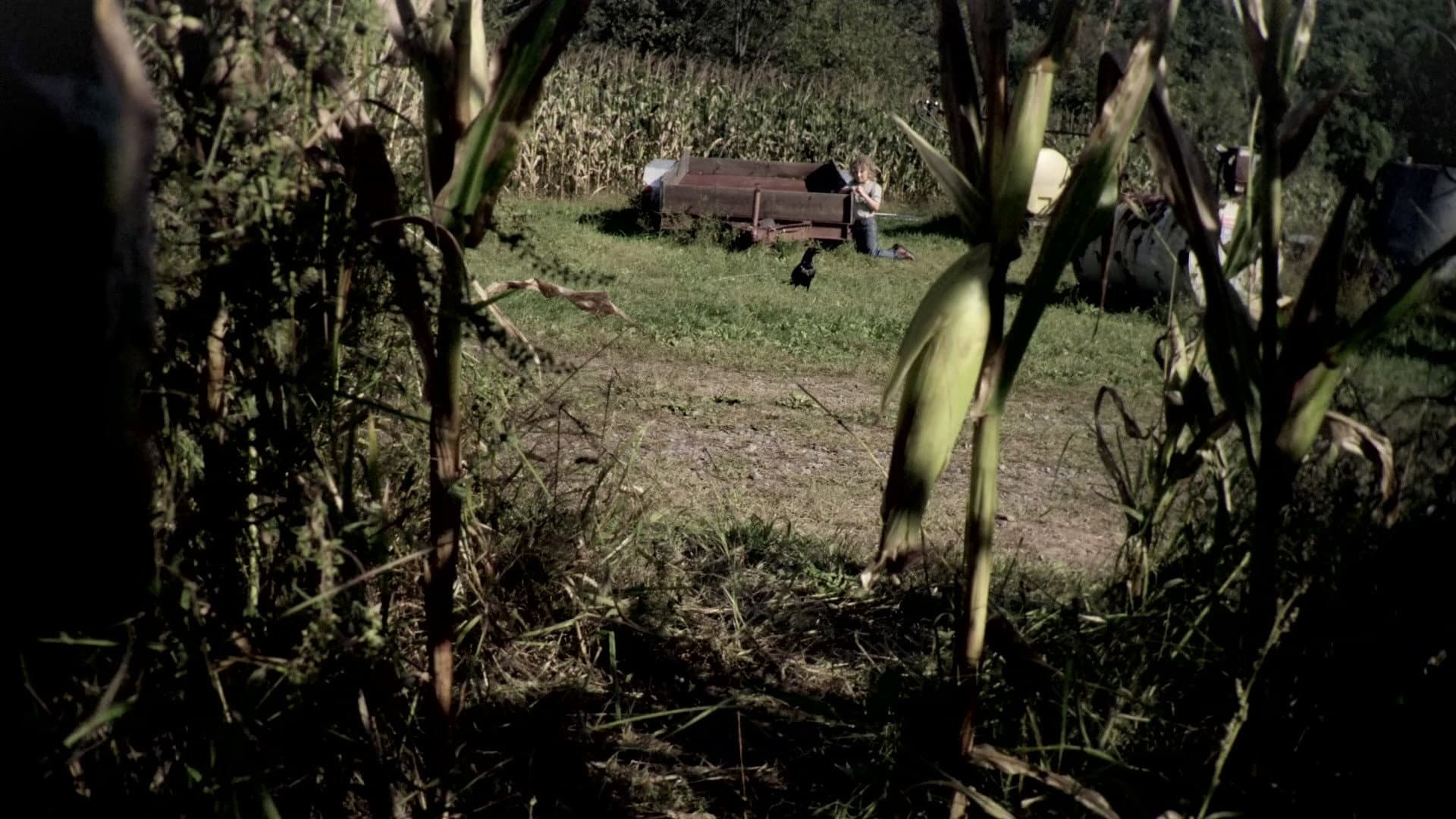 Le paludi della morte - Texas Killing Fields - immagine
