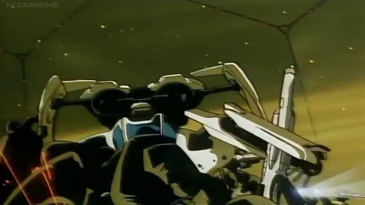 Bounty Dog - immagine