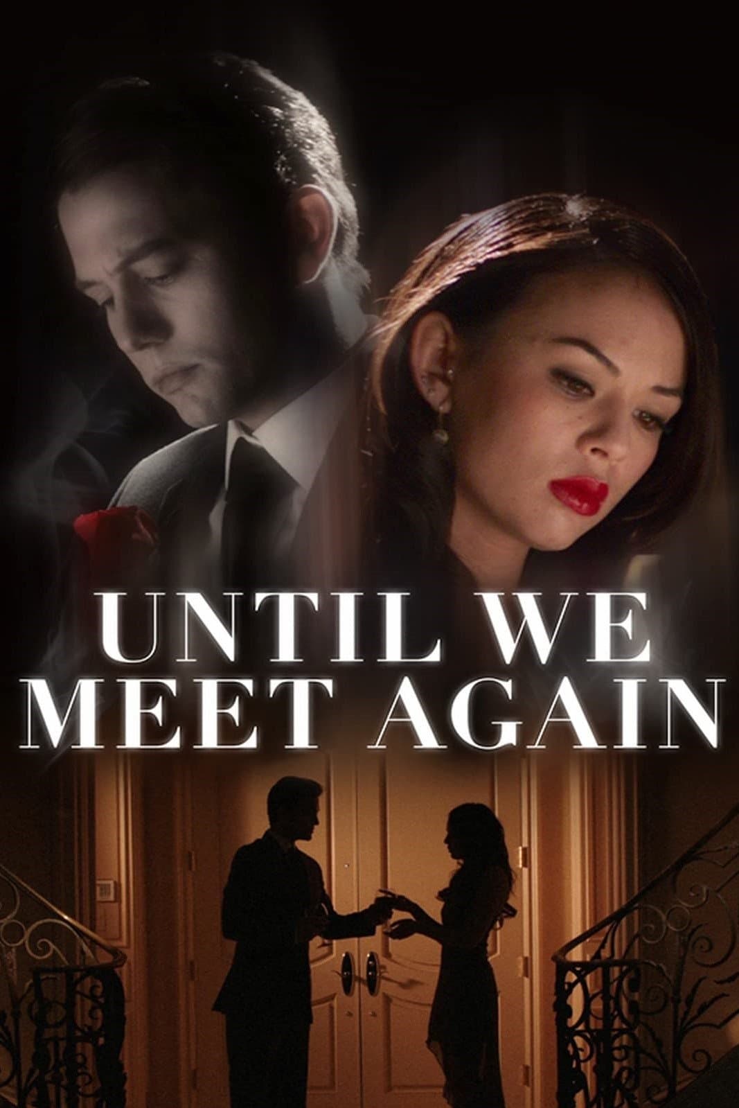 Poster di Until We Meet Again