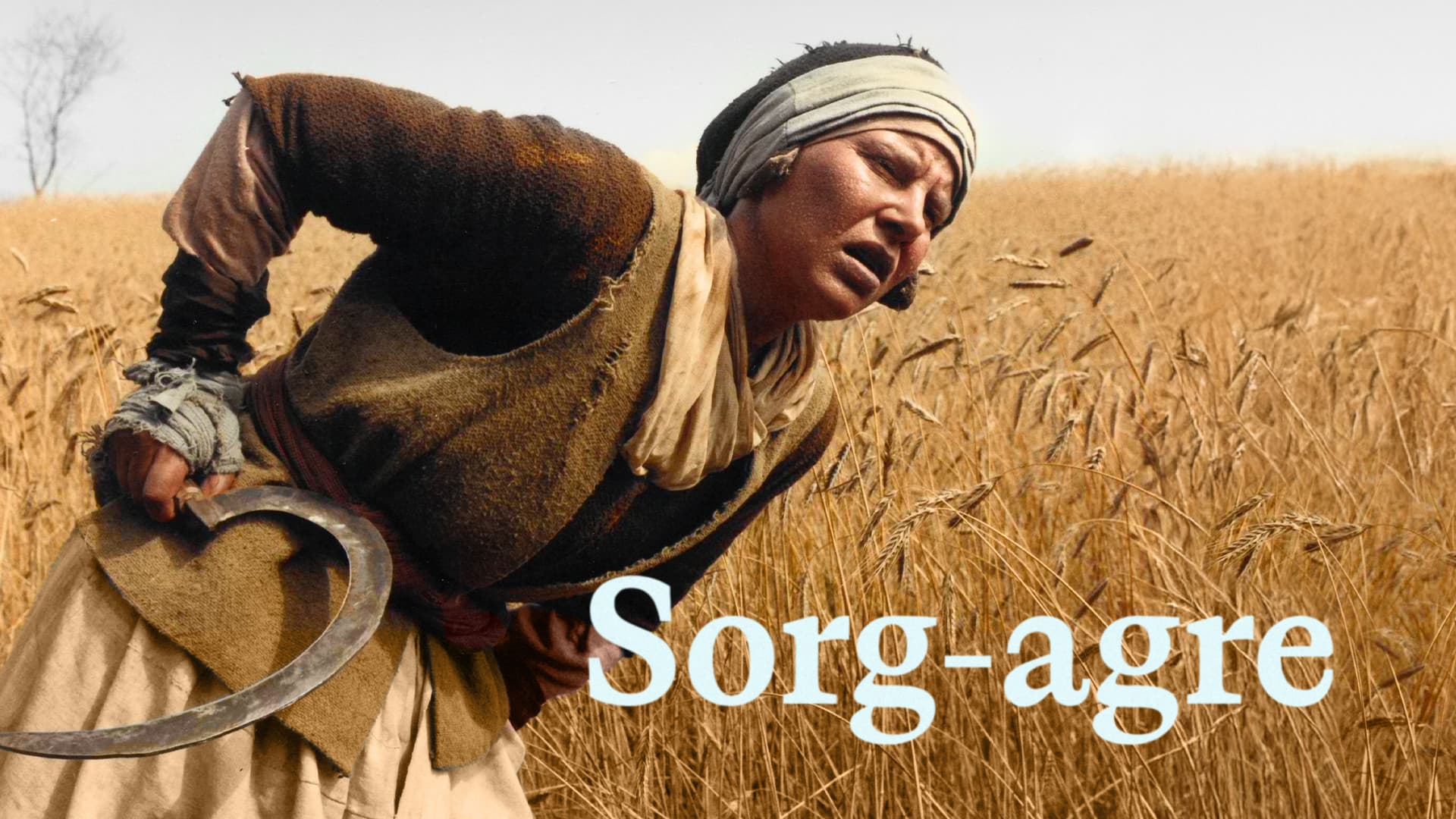 Sorg-agre - immagine