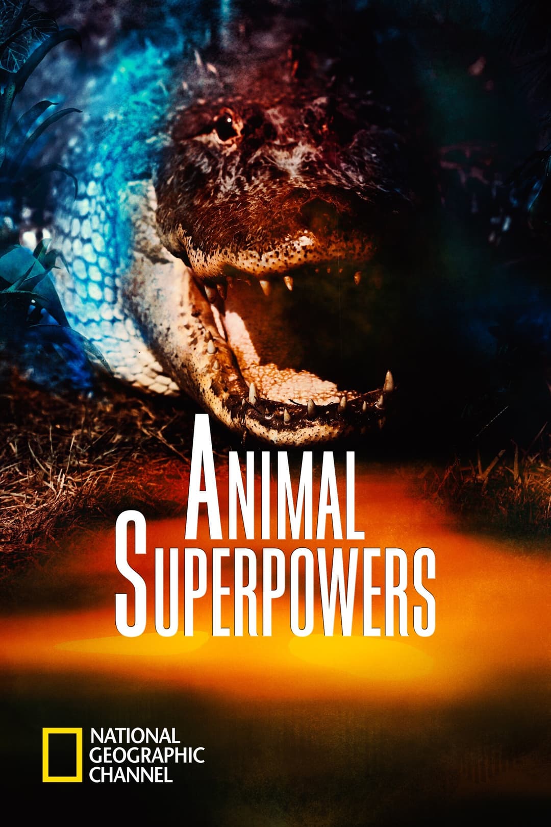 Poster di Animal Superpowers