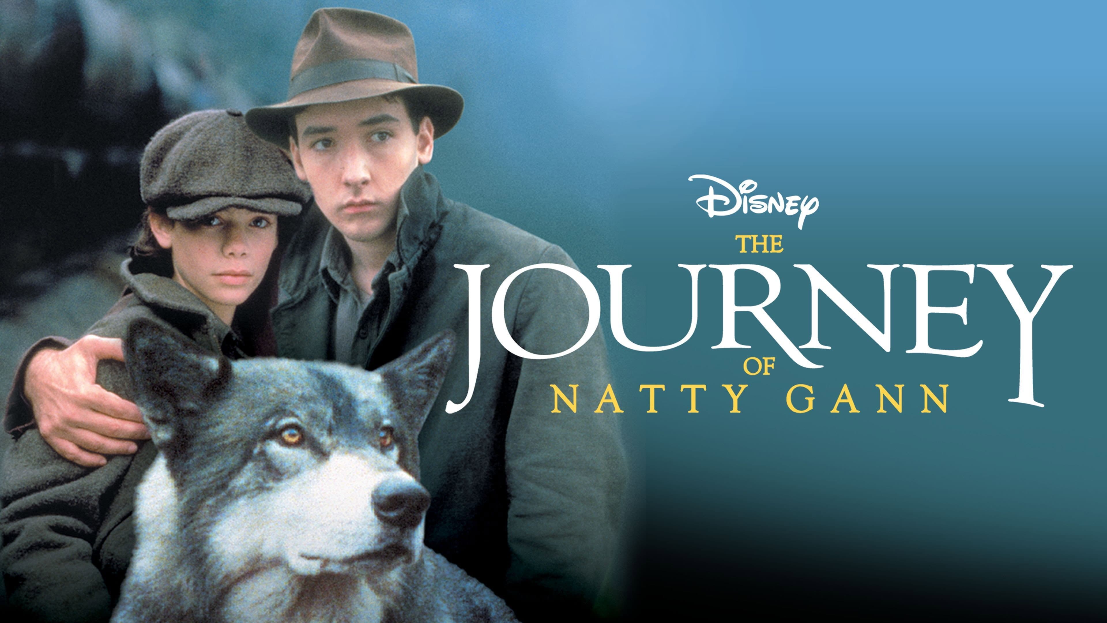 Il viaggio di Natty Gann - immagine
